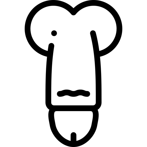 Ícone estética peniana